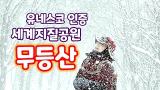 1억년 전의 유산 대자연의 신비! 사계절이 아름다운  무등산!