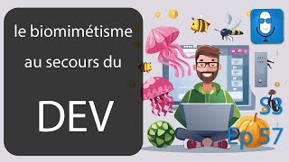 Le biomimétisme au secours du dev