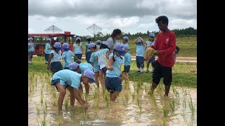 นักเรียนอนุบาลโรงเรียนดาราสมุทร ศรีราชา ทัศนศึกษา ณ สวนไทย พัทยา