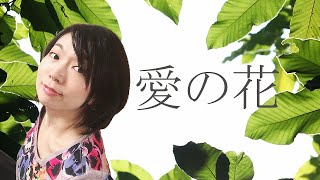 愛の花／あいみょんcovered by Yumi.