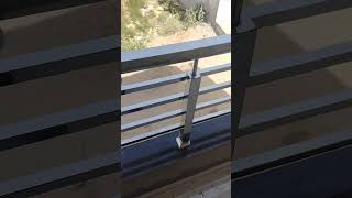 Balcony Railing Design 🔥 #steel #railingdesign #railing