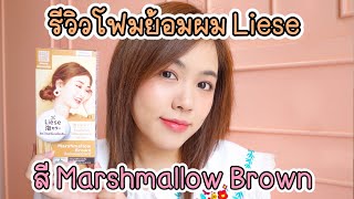 ย้อมผมสีน้ำตาลอ่อนด้วยโฟมเปลี่ยนสีผม Liese Marshmallow Brown | Noonninn