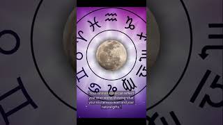 Why Vedic Astrology Matters | Understand Your Birth Chart & Life Purpose