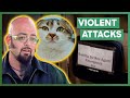 Jackson Galaxy Meets A Couple With A First Aid Kit For Aggressive Cat | My Cat From Hell