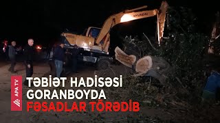 Güclü külək Goranboyda bir sıra problemlər yaradıb – APA TV