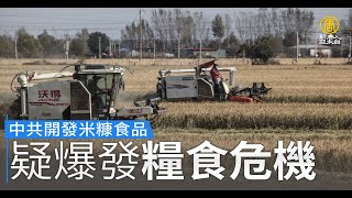 中共開發米糠食品 疑爆發糧食危機