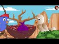 କୁଅ ଭିତରେ ସୁନା ର ପାଣି tiki chadhei odia gapa chadhei gappa odia bird story odia story moral story