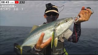 青物の天然いけすでジギングしてみた　カヤックで海釣りライブ　Kayak Fishing LIVE in JAPAN【LIVE39】