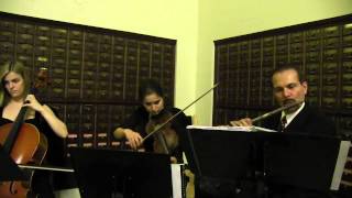 Los Angeles String Trio- Classical LA Wedding and Corporate Event Musicians