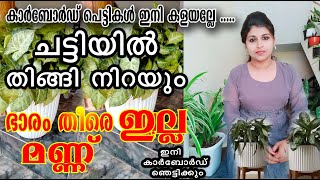 ചെടി നടാൻ ഇനി മണ്ണും വളവും വേണ്ട തൈകളും ഇലകളും ഉണ്ടാവും തഴച്ച് വളരും/good potting mix/poppy happy