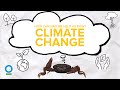 HOW CAN NATURE HELP US FIGHT CLIMATE CHANGE? - Climate Change #4 | CI Singapore