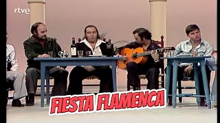 Flamenco | Fiesta Flamenca