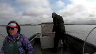 Kenai Dip Netting 2019