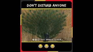 Don't disturb anyone #Trollmandyatoindia