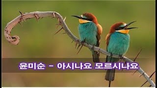 윤미순 - 아시나요 모르시나요 kpop 韓國歌謠