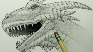 How to Draw a Dragon Head