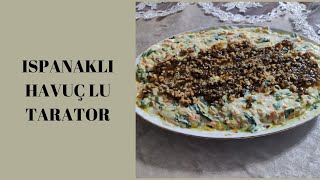 Ispanaklı Havuçlu Tarator Tarifi/ Ispanaklı Havuçlu Tarator Nasıl Yapılır