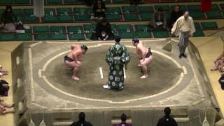 舛の勝-大成道/大相撲.2017.1.13(25)/masunosho-daiseido/day6 #sumo