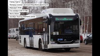 Сургут | Поездка на Yutong ZK6116HG  (2023) | Е 129 ТУ 186 | Маршрут №28