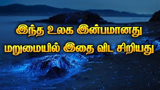 இந்த உலக இன்பம்  இதை விட சிறியது மறுமையில் I Tamil Latest Bayan