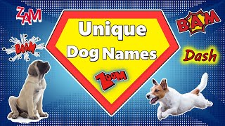 How To Pick a Unique Dog Name and Try Counting How Many Times I Say Cute!