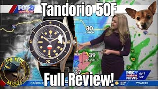 Tandorio 50F Automatic Dive Style Watch Review!