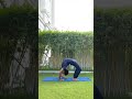 Deep Upper Back Bending || Yogi Rahul Malakar ||