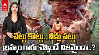 Viral Video | Water coming out of tree | చెట్టును నరికితే నీళ్లు వస్తున్నాయి..ఇదేం వింత | ABP Desam