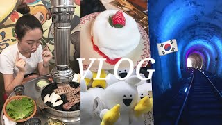 🇰🇷VLOG❣️2019.6.#한국#여행#vlog