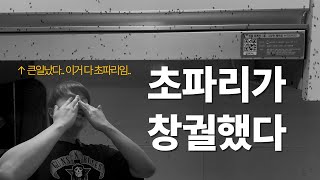 집을 점령한 초파리 ‘이 방법’ 으로 한방에 퇴치했습니다
