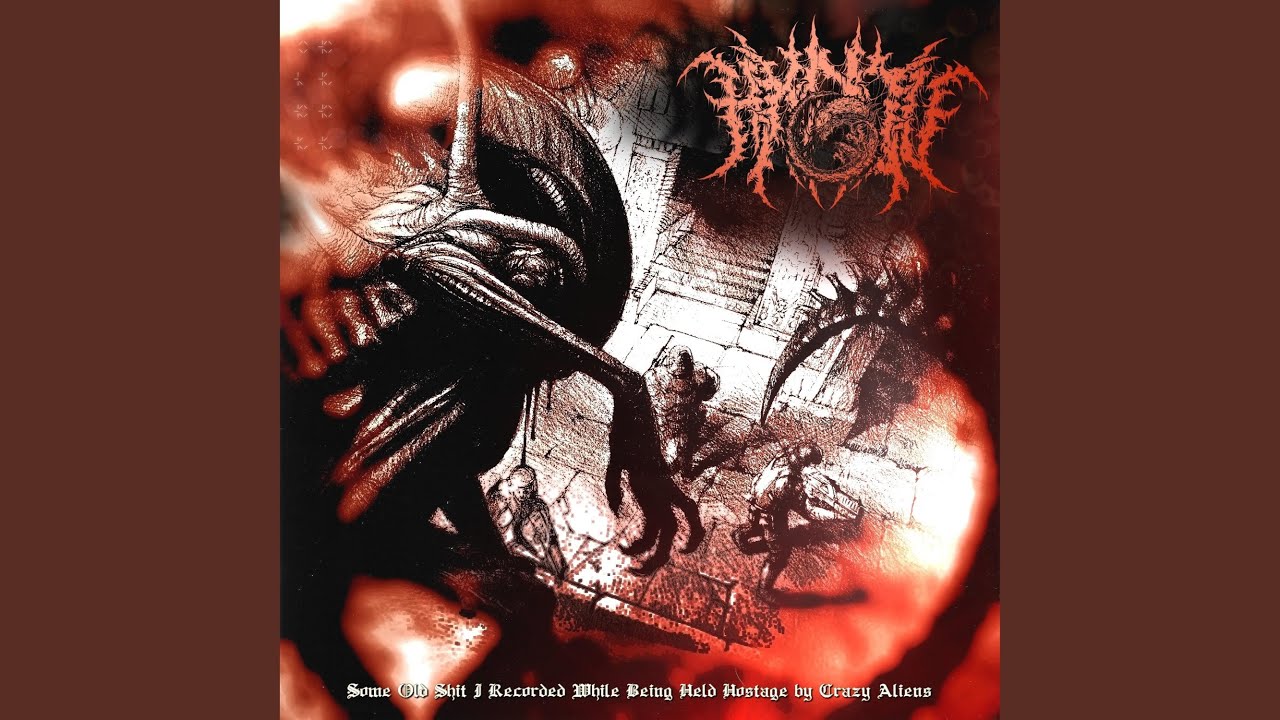 Leaf Clover Gang Youtube Music