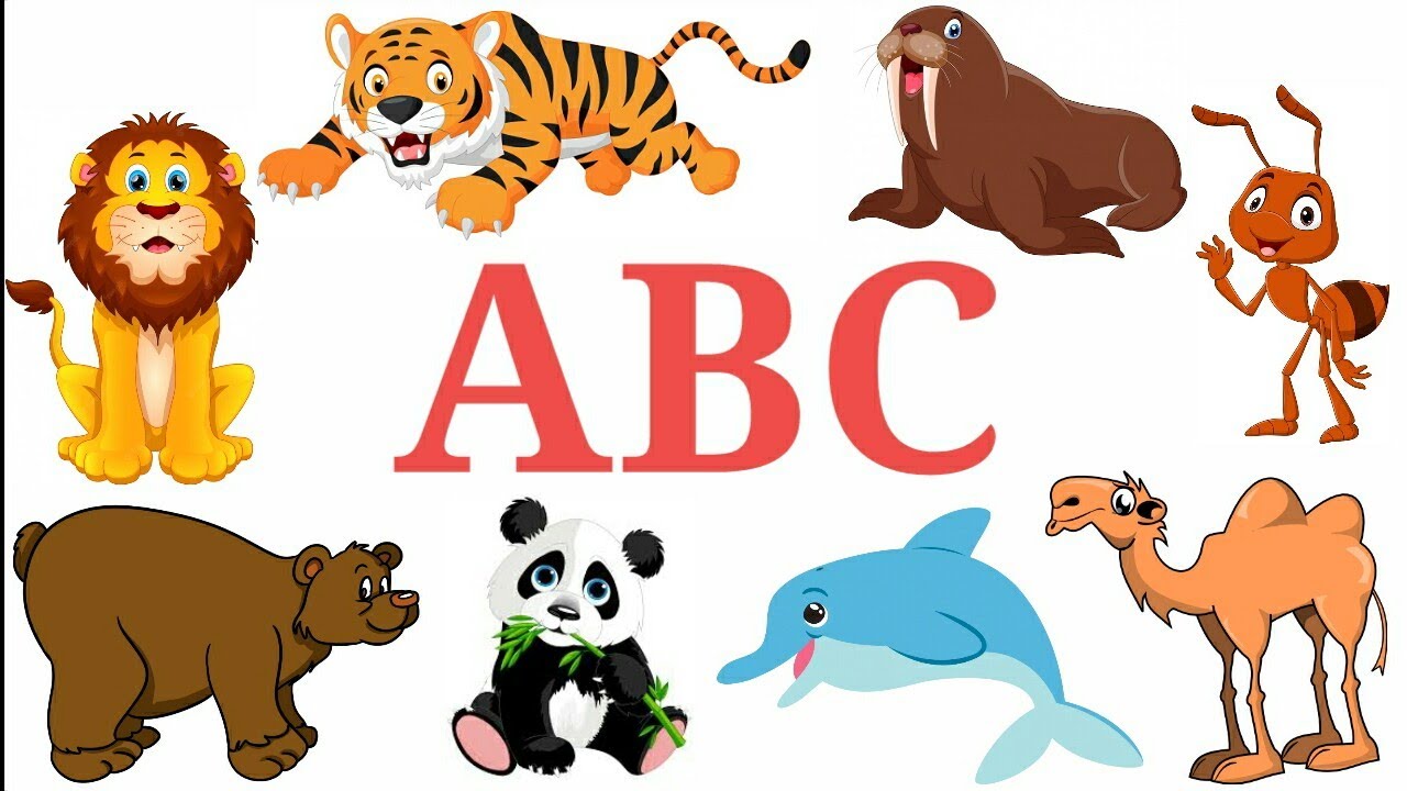 Animals ABC | A-Z Animals Name For Kids With Live Examples - YouTube