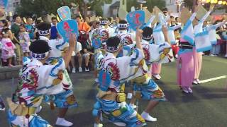 《徳島市阿波おどり2017》菊水連 2017年8月12日 awaodori in TOKUSHIMA Japan