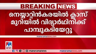 ക്ലാസ് മുറിയില്‍ വിദ്യാര്‍ഥിനിക്ക് പാമ്പുകടിയേറ്റു;സംഭവം ക്രിസ്മസ് ആഘോഷത്തിനിടെ|snake