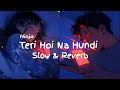Teri Hoi Na Hundi | Slow - Reverb | Ninja | New Punjabi Song 2023 | Zindagi Zindabaad |