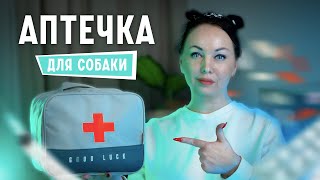 Аптечка для собак - Обязательный минимум, первая помощь