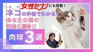 【女性セブンに掲載！】肉球でわかる あなたの猫の性格と運命