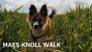 Walking UK (Maes knoll Walk) Somerset