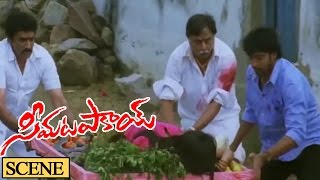Jaya Prakash Reddy Attack On Nagineedu Action Scene || Seema Tapakai Movie || Allari Naresh, Poorna