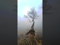 anjaneri trek ⛰️🌊 nashik