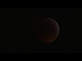 der komplette livestream blutmond totale mondfinsternis