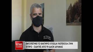 Εντοπίστηκε το βακτήριο XYLELLA FASTIDIOSA στην Κύπρο - οδηγίες από τη ΔΑΟΚ Δράμας