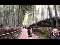 kyoto arashiyama bamboo forest walk japan｜4k hdr｜京都嵐山三月雪 竹林小徑 渡月橋