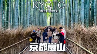 Kyoto Arashiyama Bamboo Forest Walk, Japan｜4K HDR｜京都嵐山三月雪/竹林小徑/渡月橋