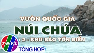 Ký sự truyền hình: Vườn quốc gia Núi Chúa - Tập 2: Khu bảo tồn biển