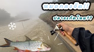 ตีปลากระสูบหน้าหนาว แห่งเมืองเหนือ!! หาฝูงจิ้กจอกน้ำจืด | ตกปลาแม่น้ำ