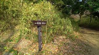 恩智神社→高安山