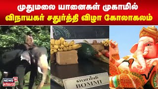 Ganesh Chaturthi | முதுமலை யானைகள் முகாமில் விநாயகர் சதுர்த்தி விழா கோலாகலம் | Mudumalai | Elephant