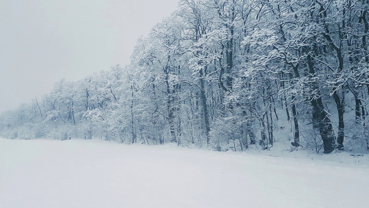 Blizzard Sound Ambiance For Relaxation Sleep 1 Hour Youtube