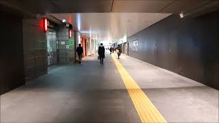 【東京駅】丸の内口から八重洲口まで歩いてみた